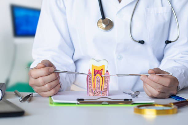 Best Urgent Tooth Repair  in Redmond, WA